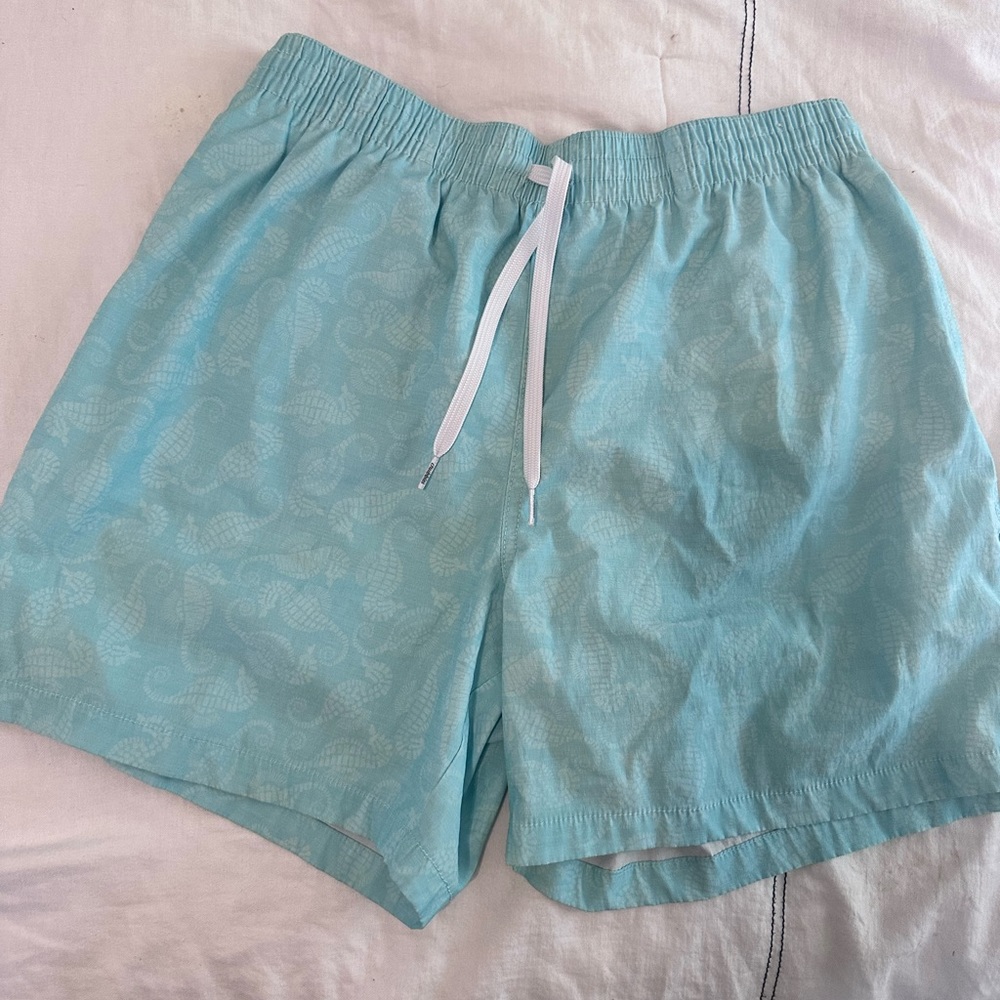 Chubbies swim trunks